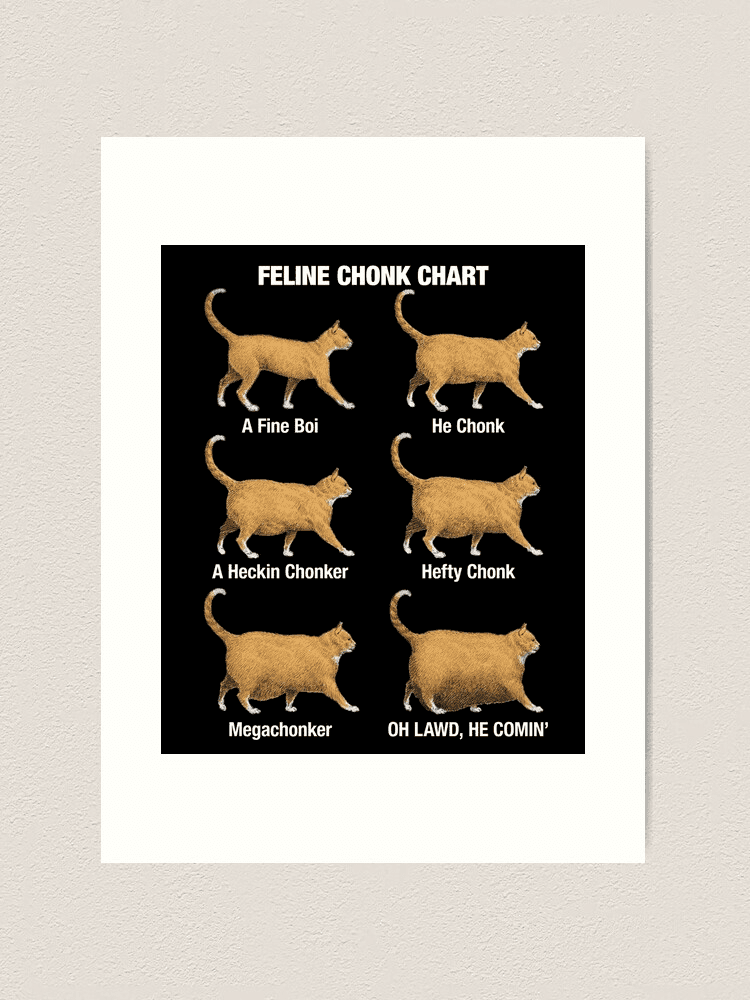 Feline Chonk Chart