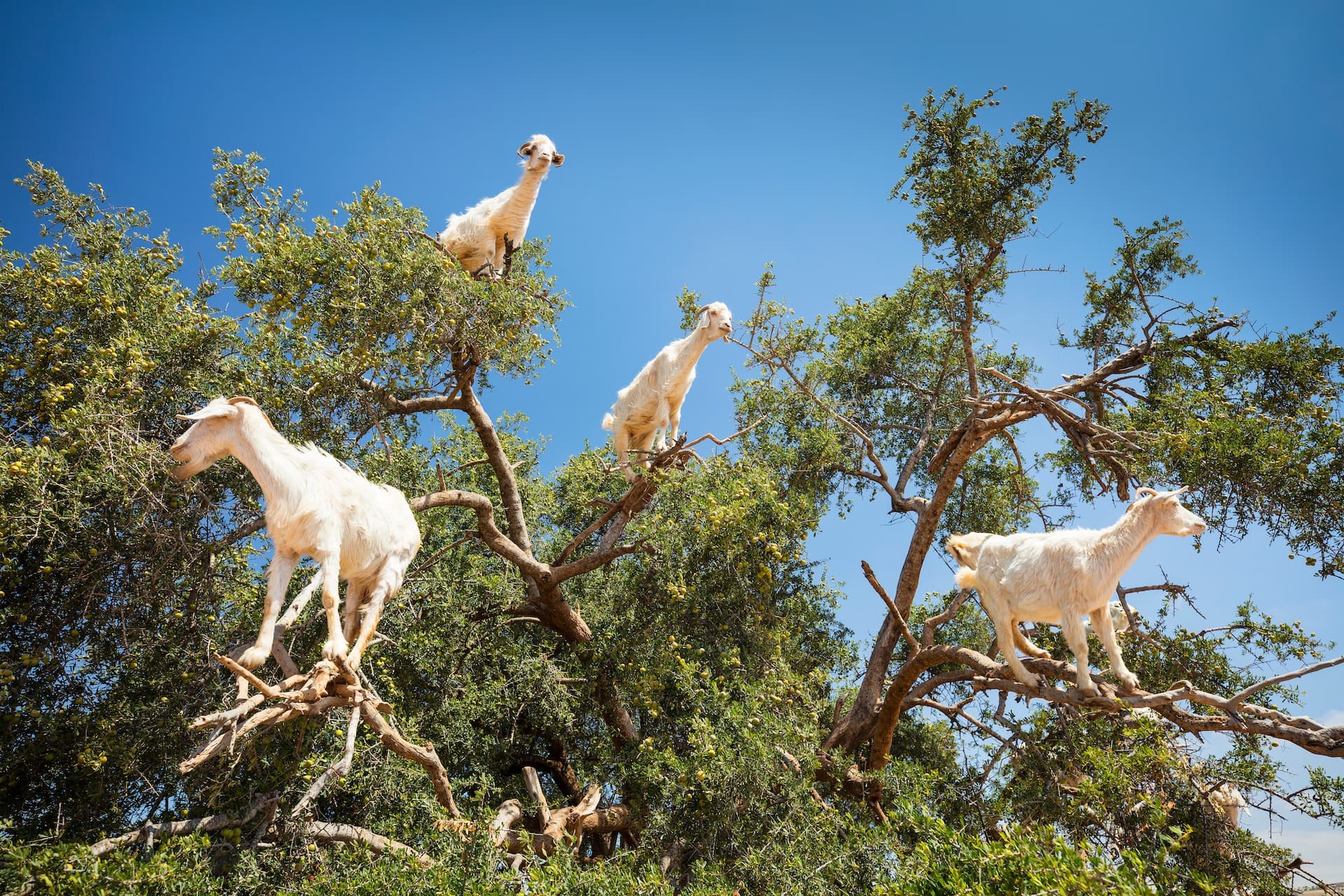 AdobeStock_207190665