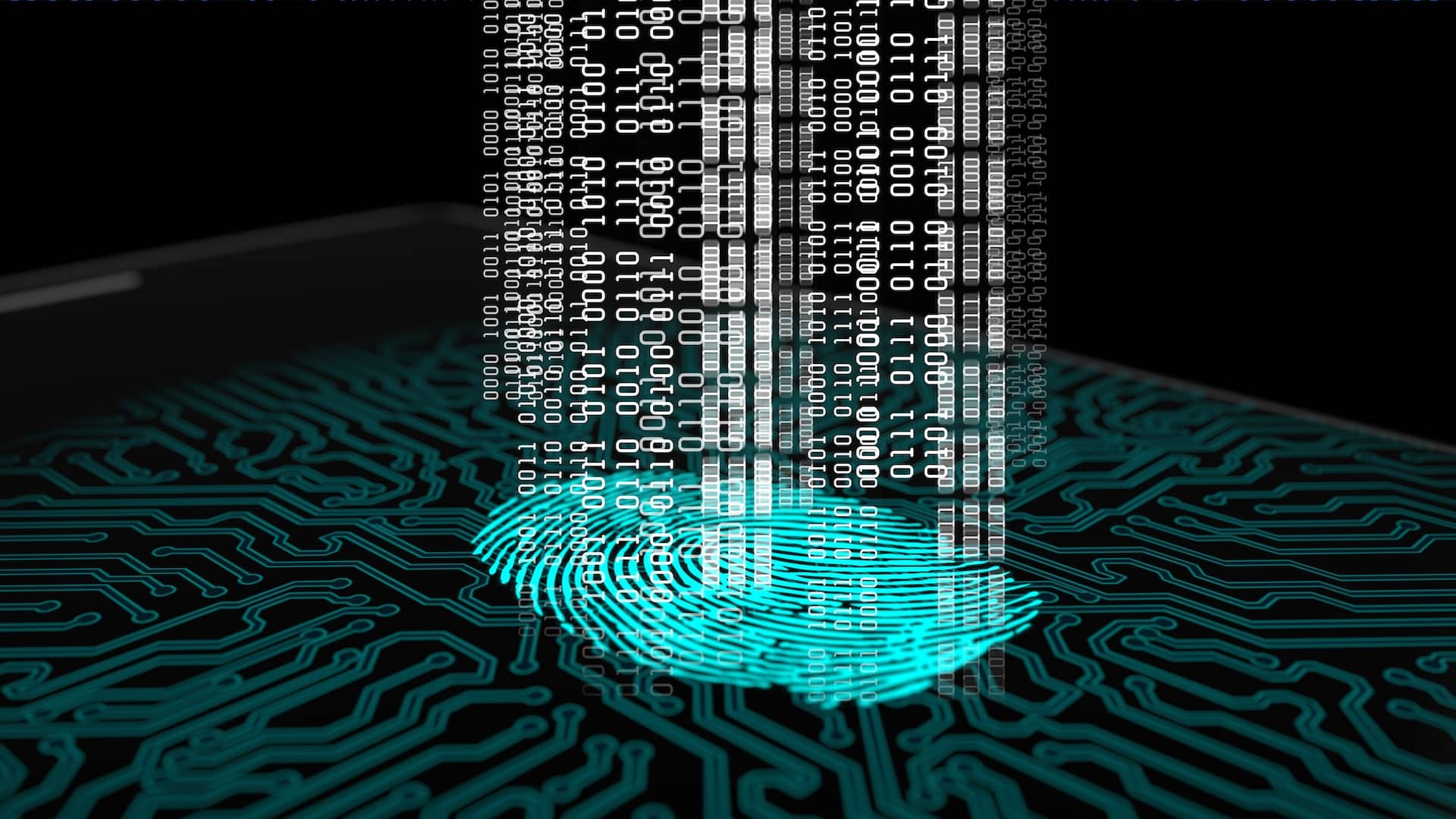 AdobeStock_312613268 (1)