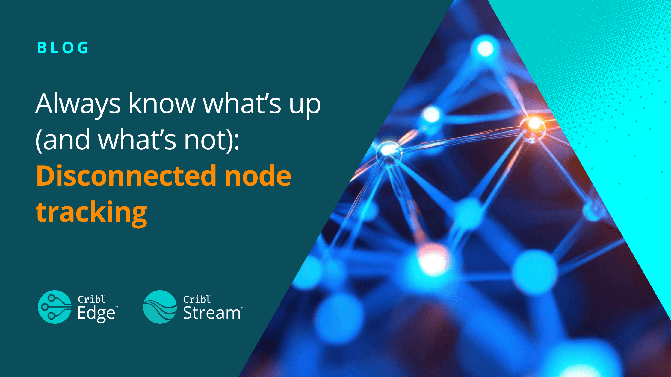 LIVE blog image (1).png